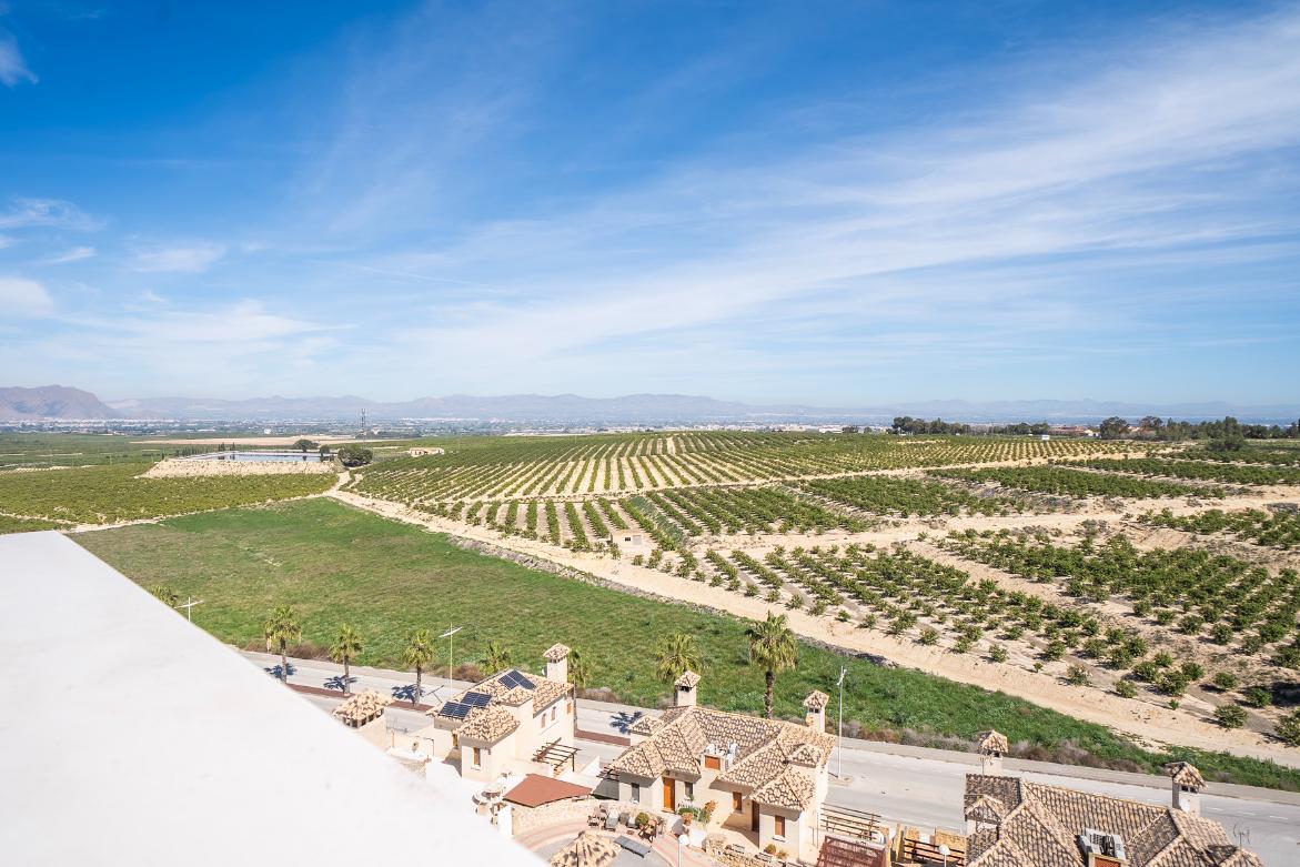 Luxury Villas on the La Finca Golf Resort