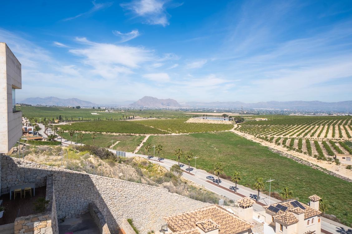 Luxury Villas on the La Finca Golf Resort