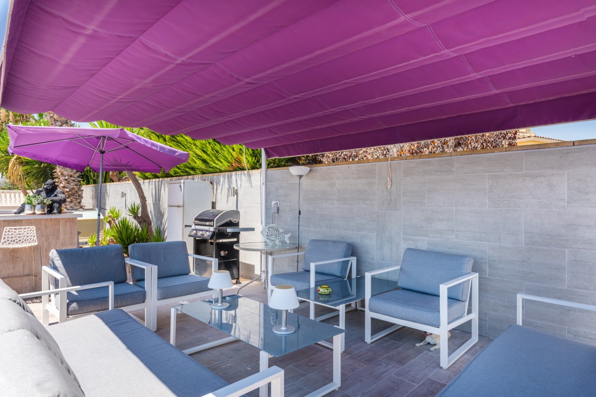 4124 | Country Property in Catral