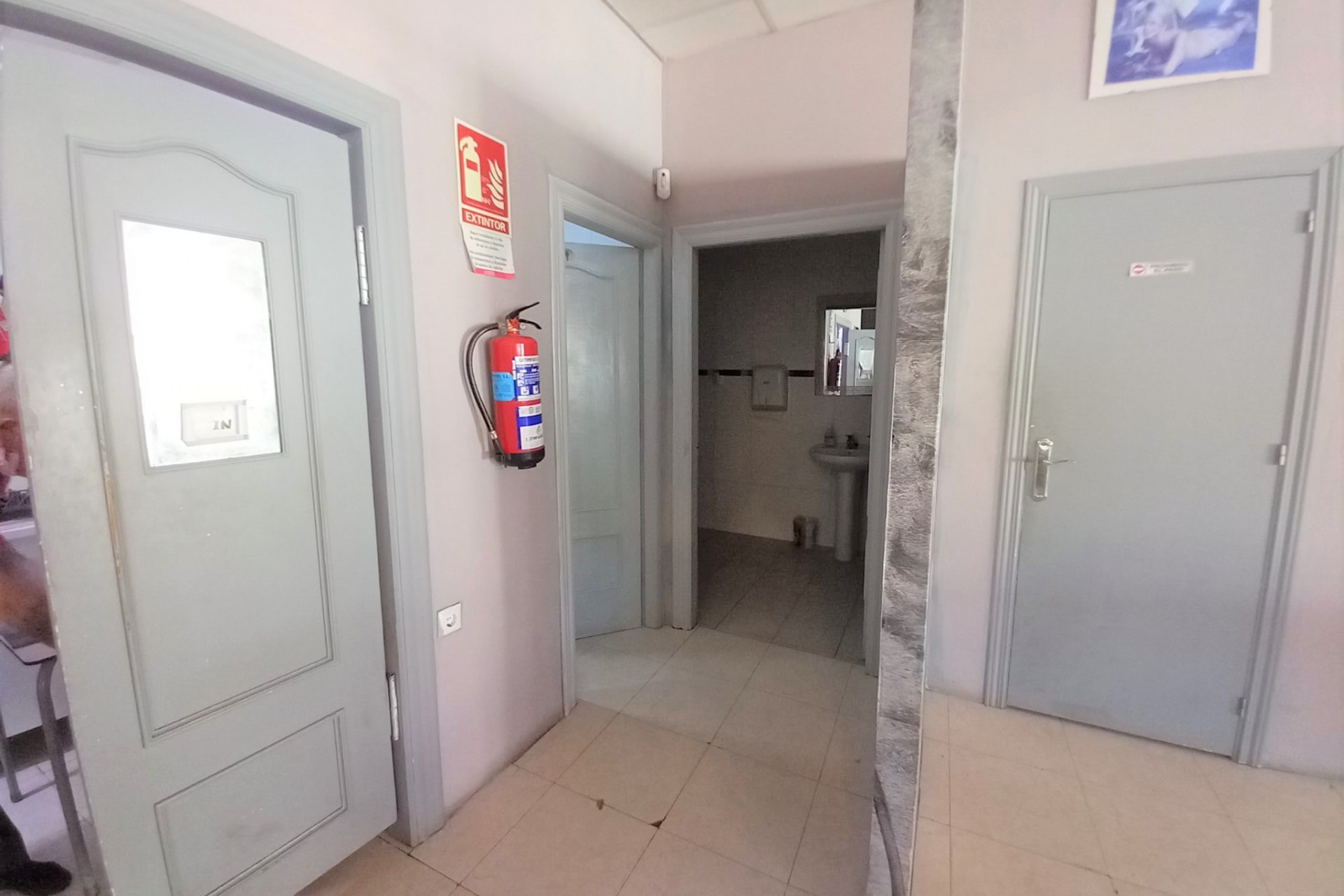 208 | Commercial in Guardamar del Segura