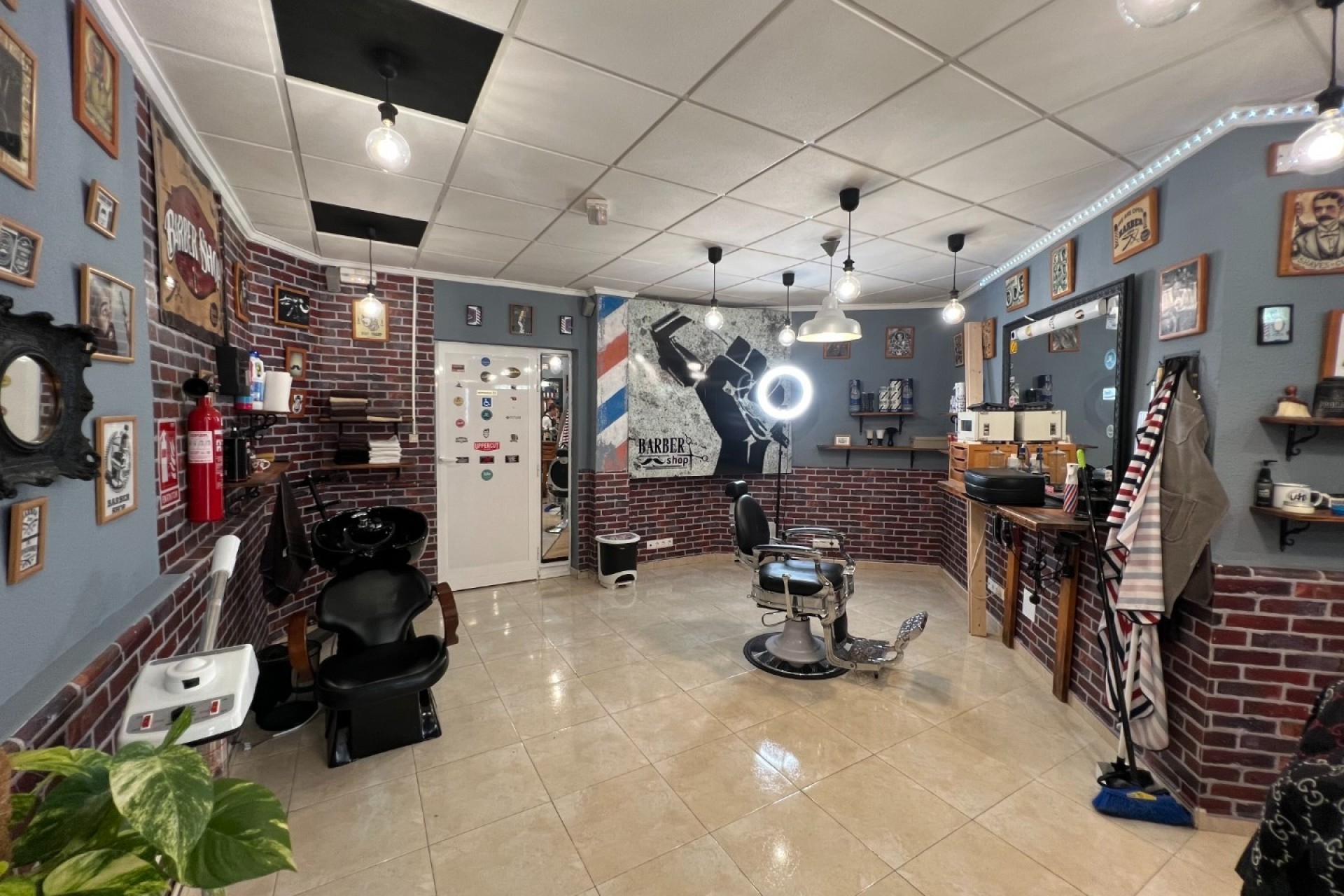 13534 | Commercial in Guardamar del Segura