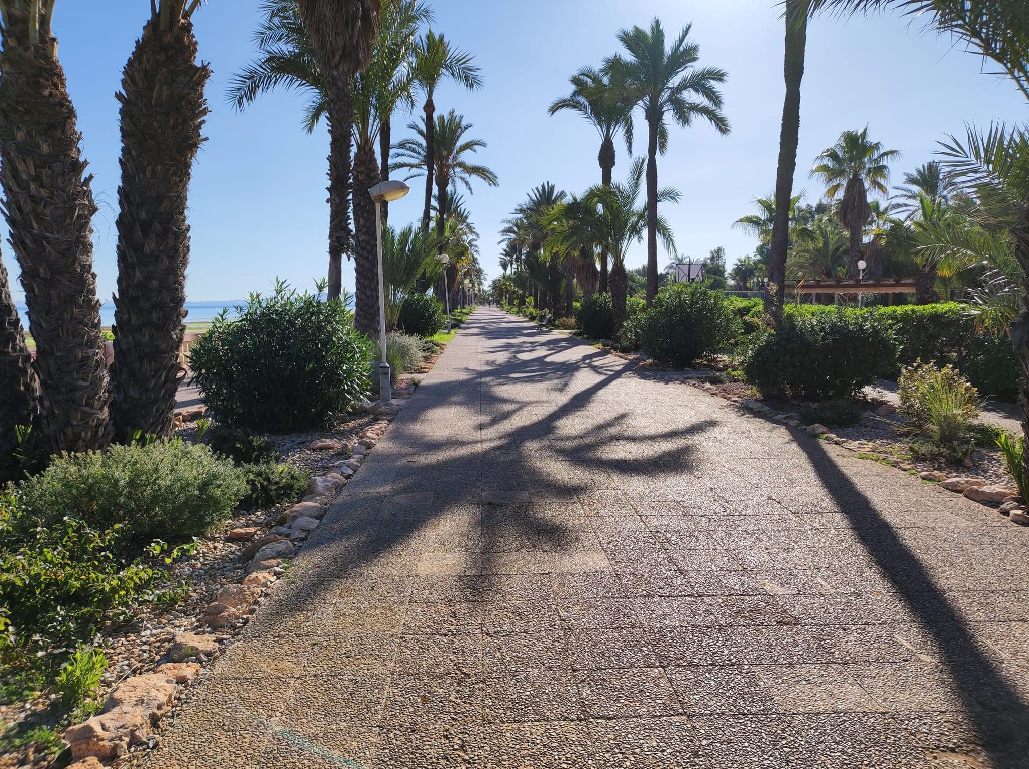 37318 (45) 37318 | Townhouse In Estrella de Mar