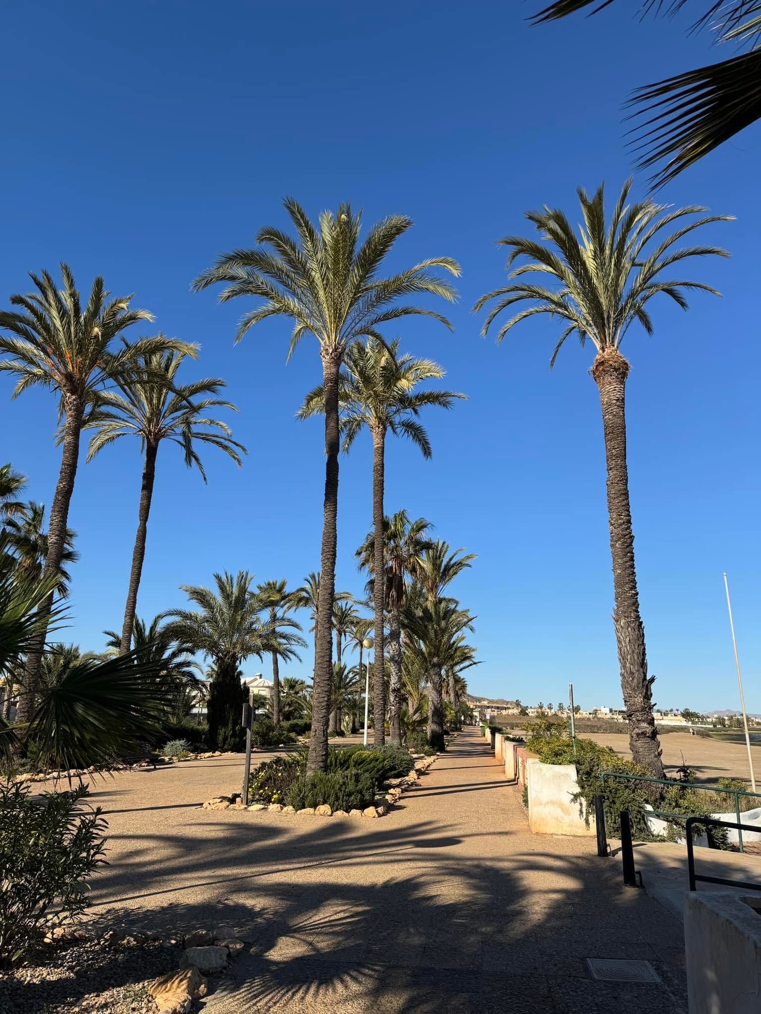 37318 (48) 37318 | Townhouse In Estrella de Mar