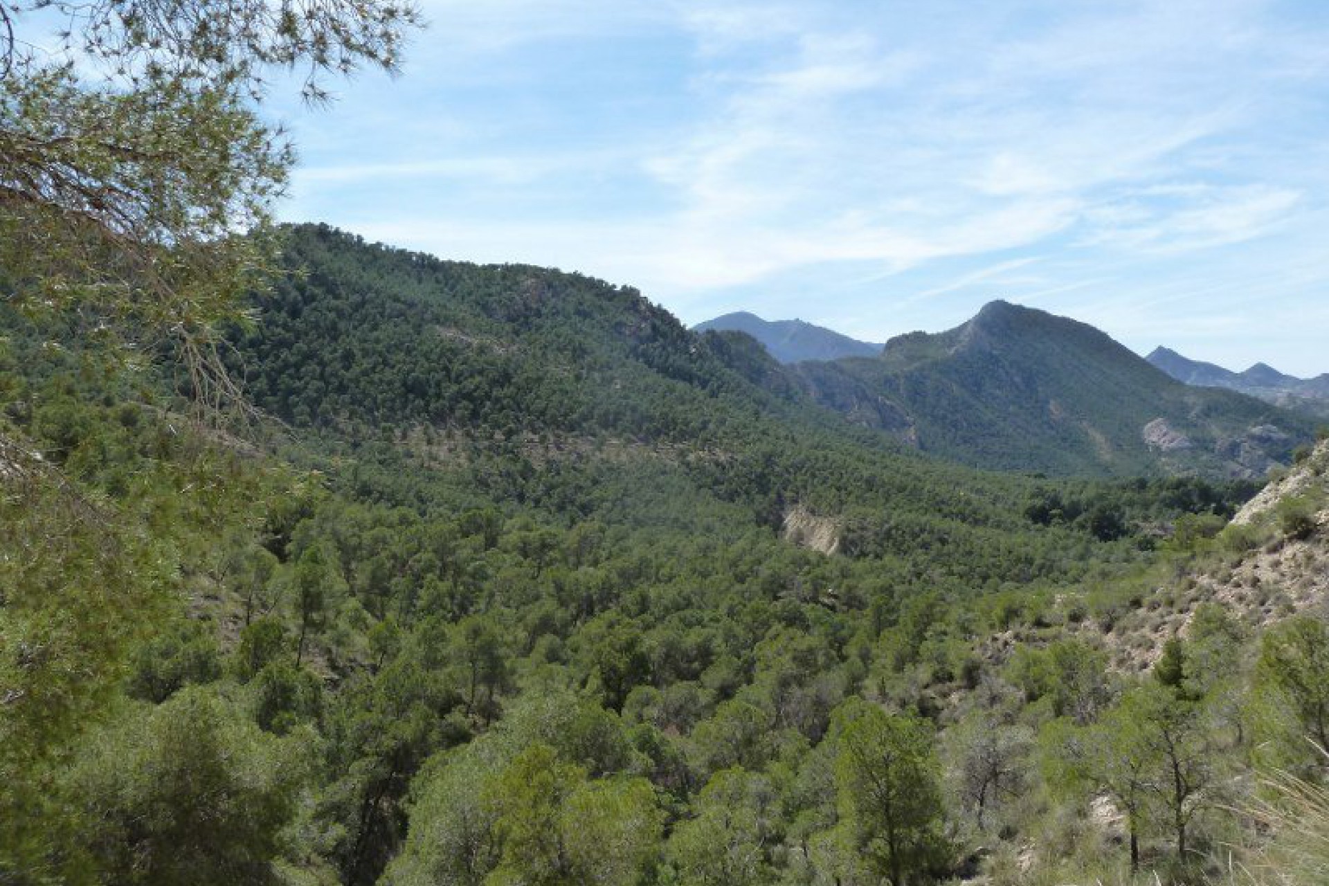 253 | Semi-Detached in Murcia