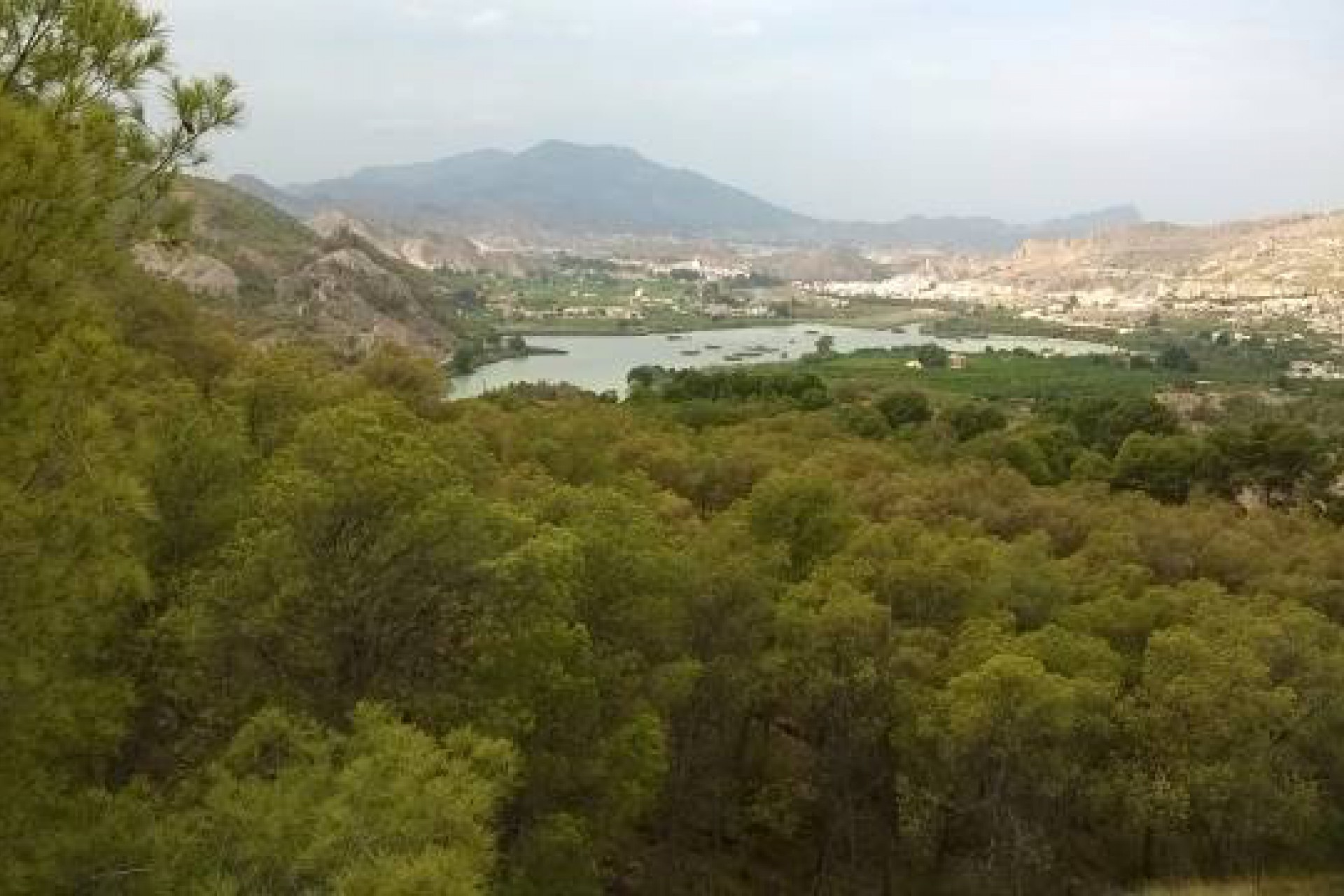 253 | Semi-Detached in Murcia