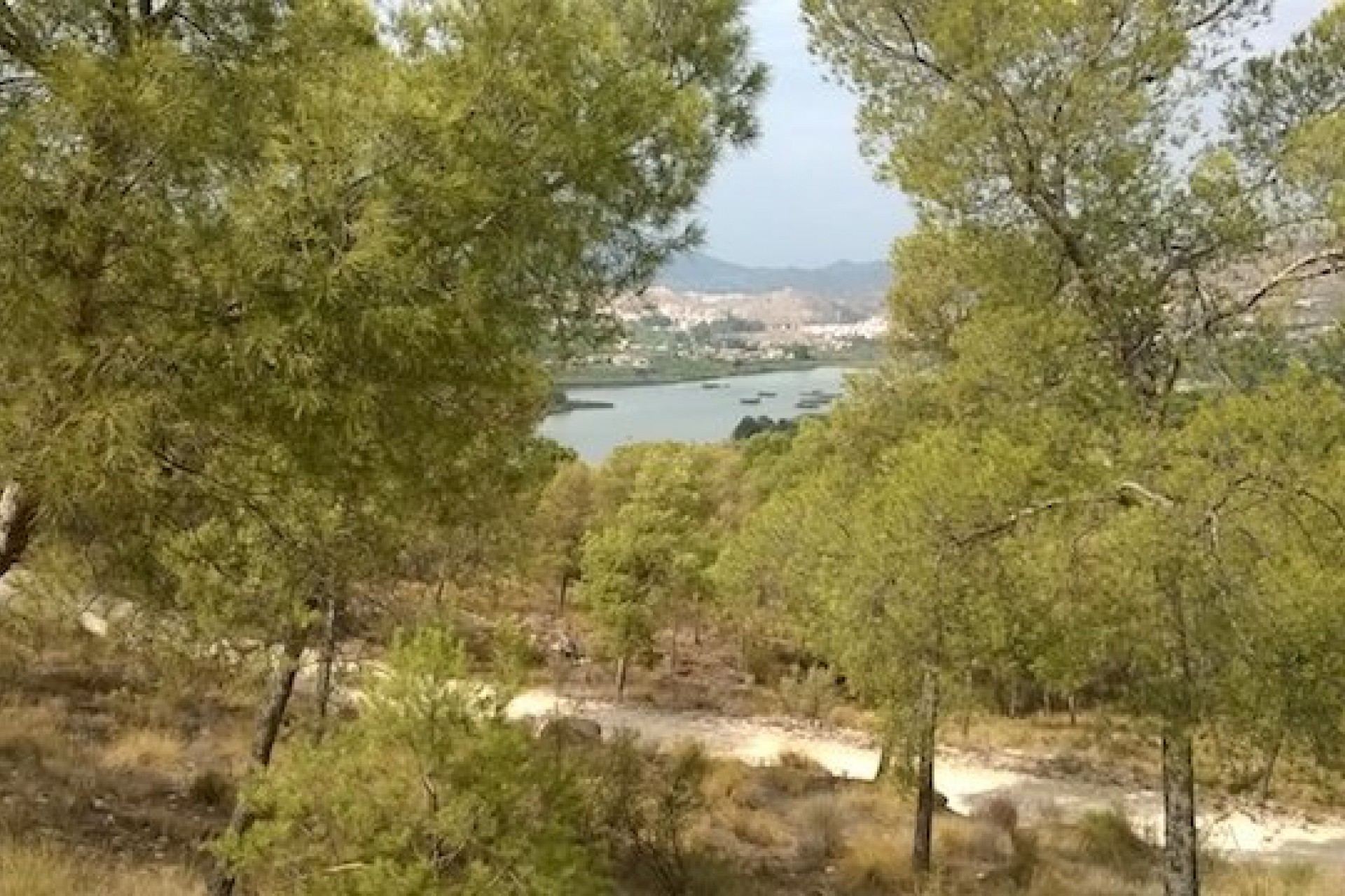 253 | Semi-Detached in Murcia