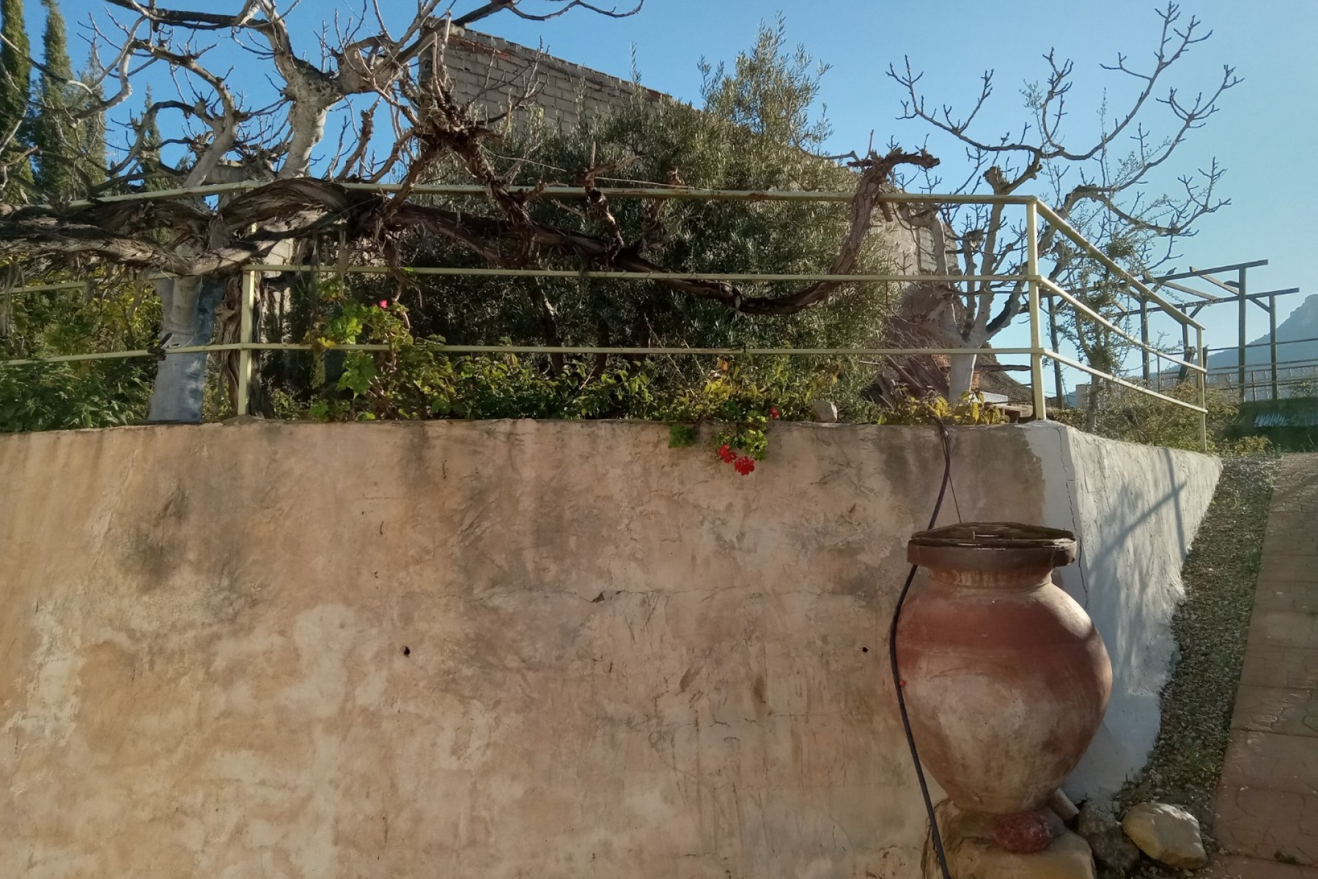 253 | Semi-Detached in Murcia