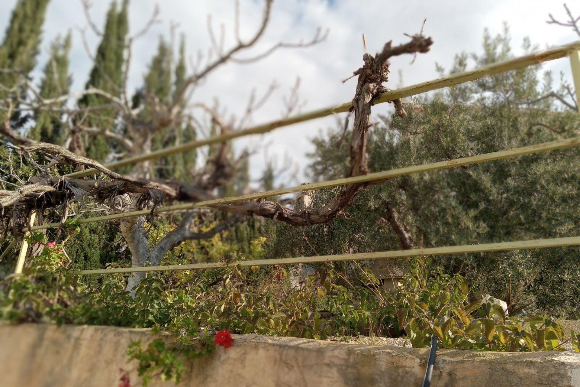 253 | Semi-Detached in Murcia