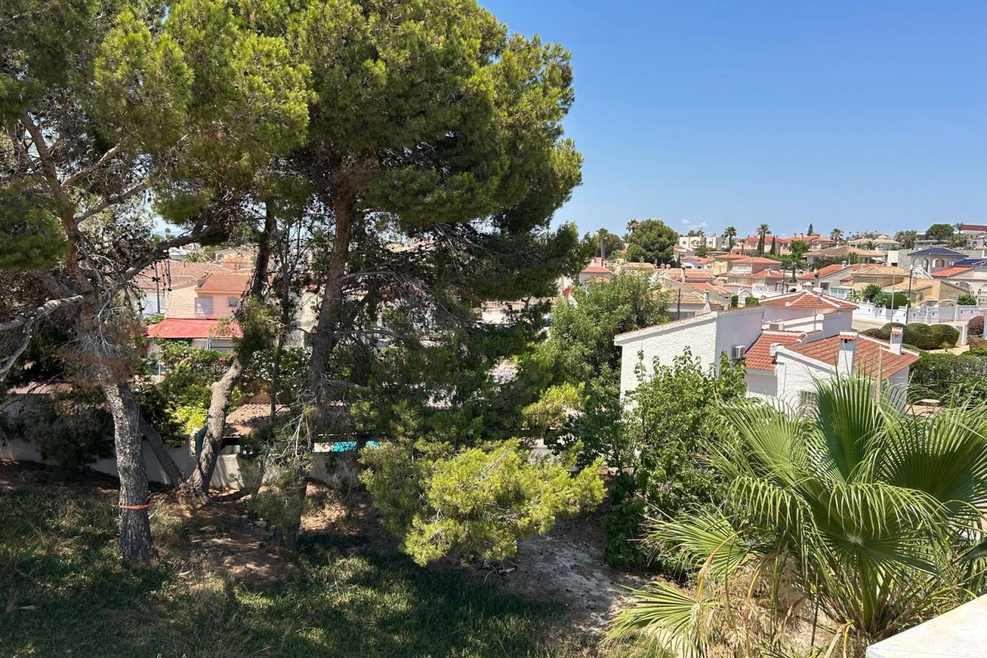 17067 | Villa Detached in Rojales