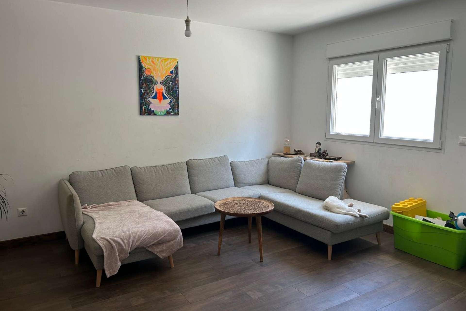 17067 | Villa Detached in Rojales